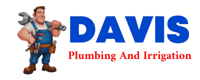 Trusted plumber in PAUPACK